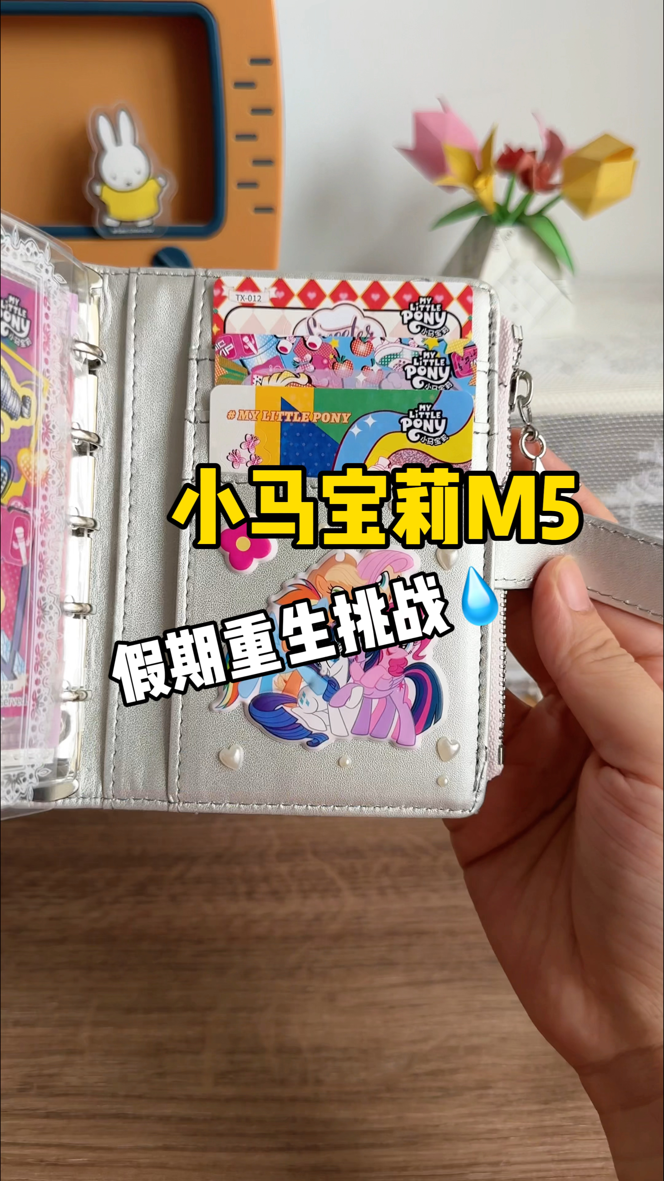 重生之我在2024装修小马宝莉M5