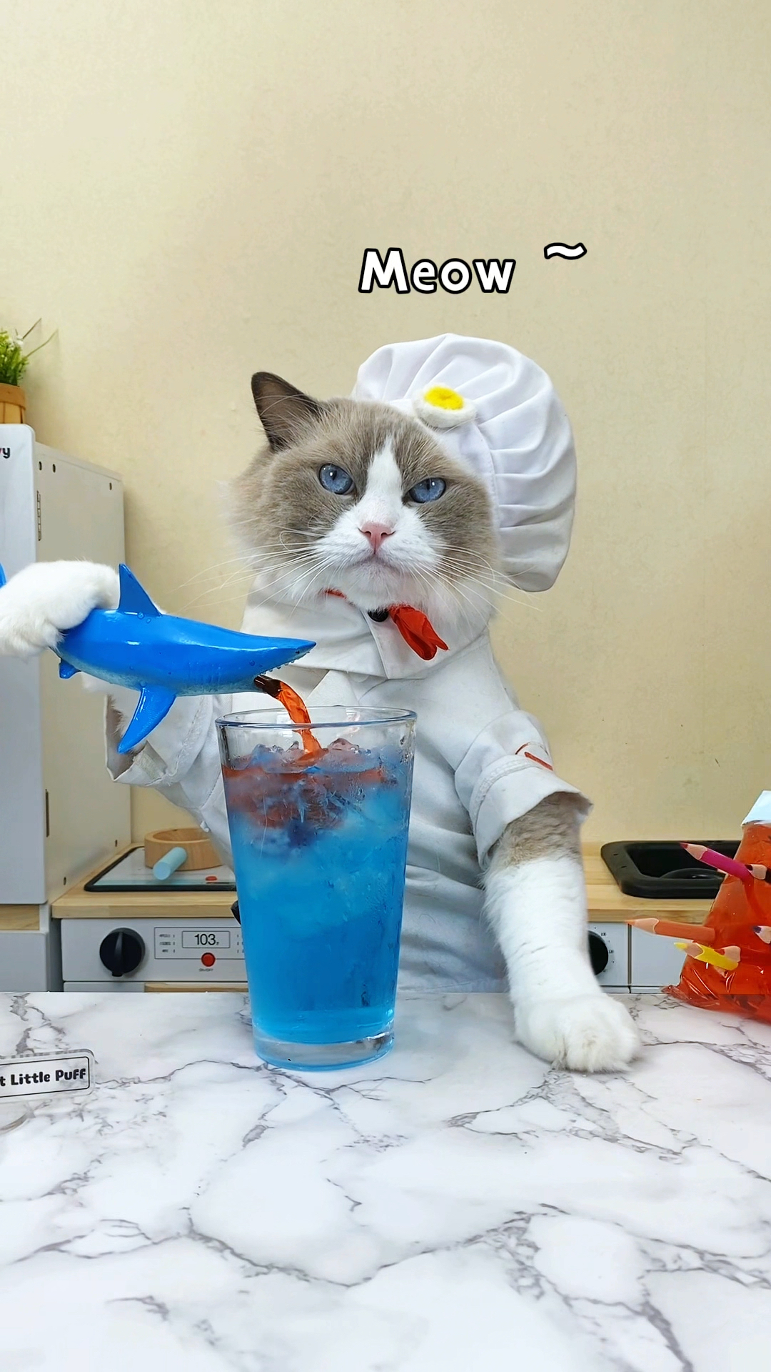 夏日鲨鱼鸡尾酒～