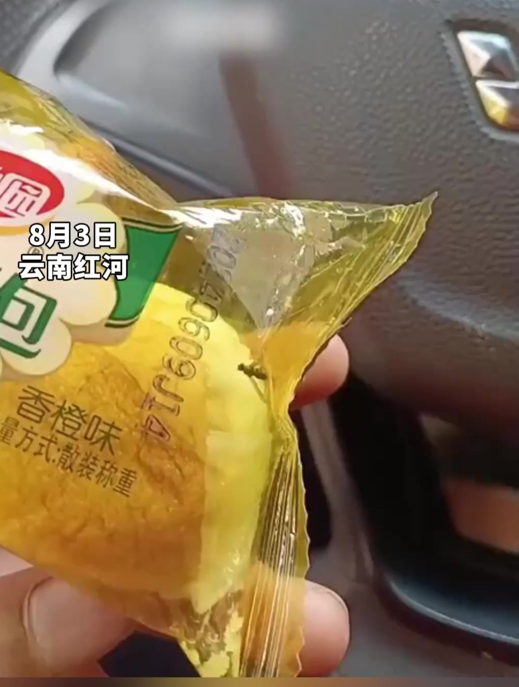 网友称在达利园软面包密封包装袋里发现两只苍蝇