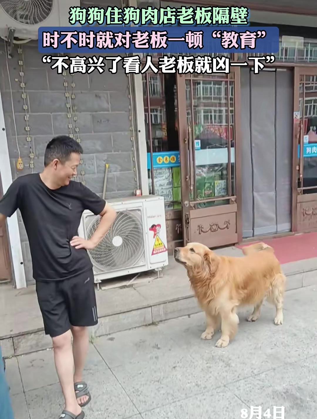 狗狗住狗肉店老板隔壁,时不时就对老板一顿“教育”