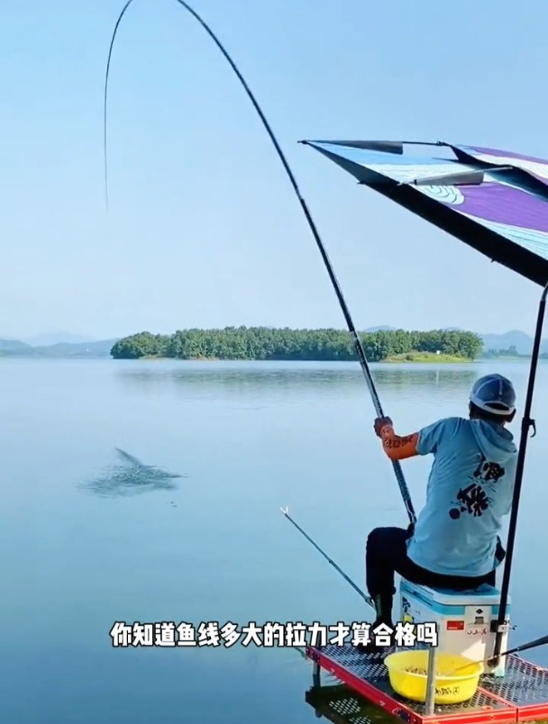 鱼线拉力多大才算合格?这几个指标需满足!