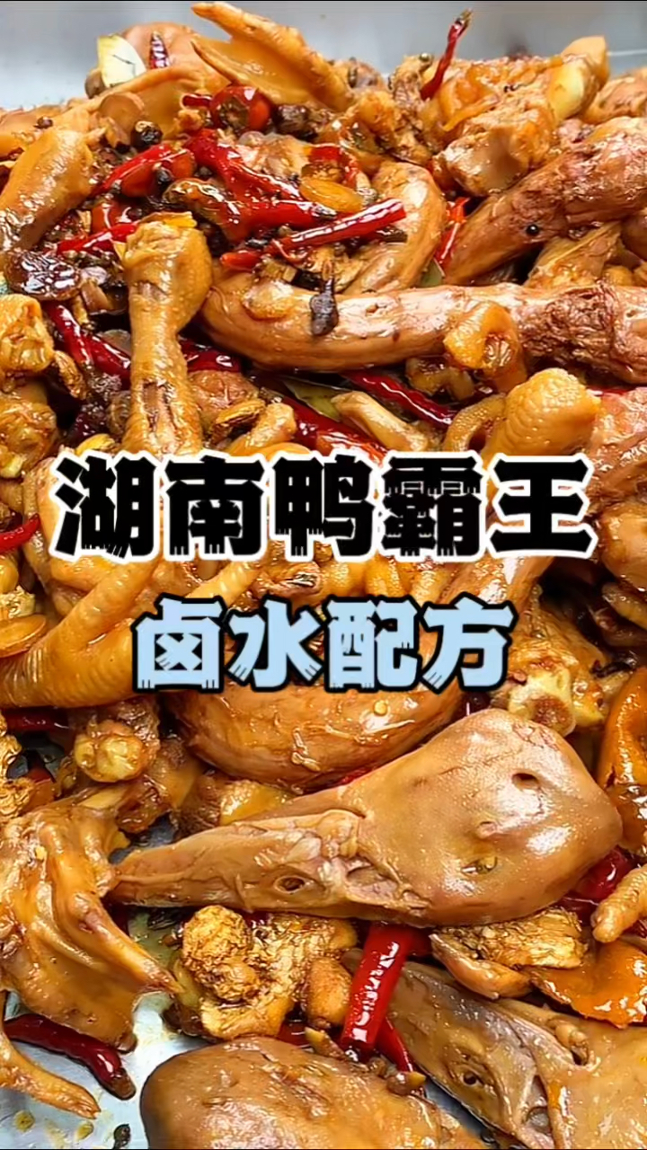 鸭霸王卤水配方,湖南鸭霸王做法学习,鸭霸王技术教学