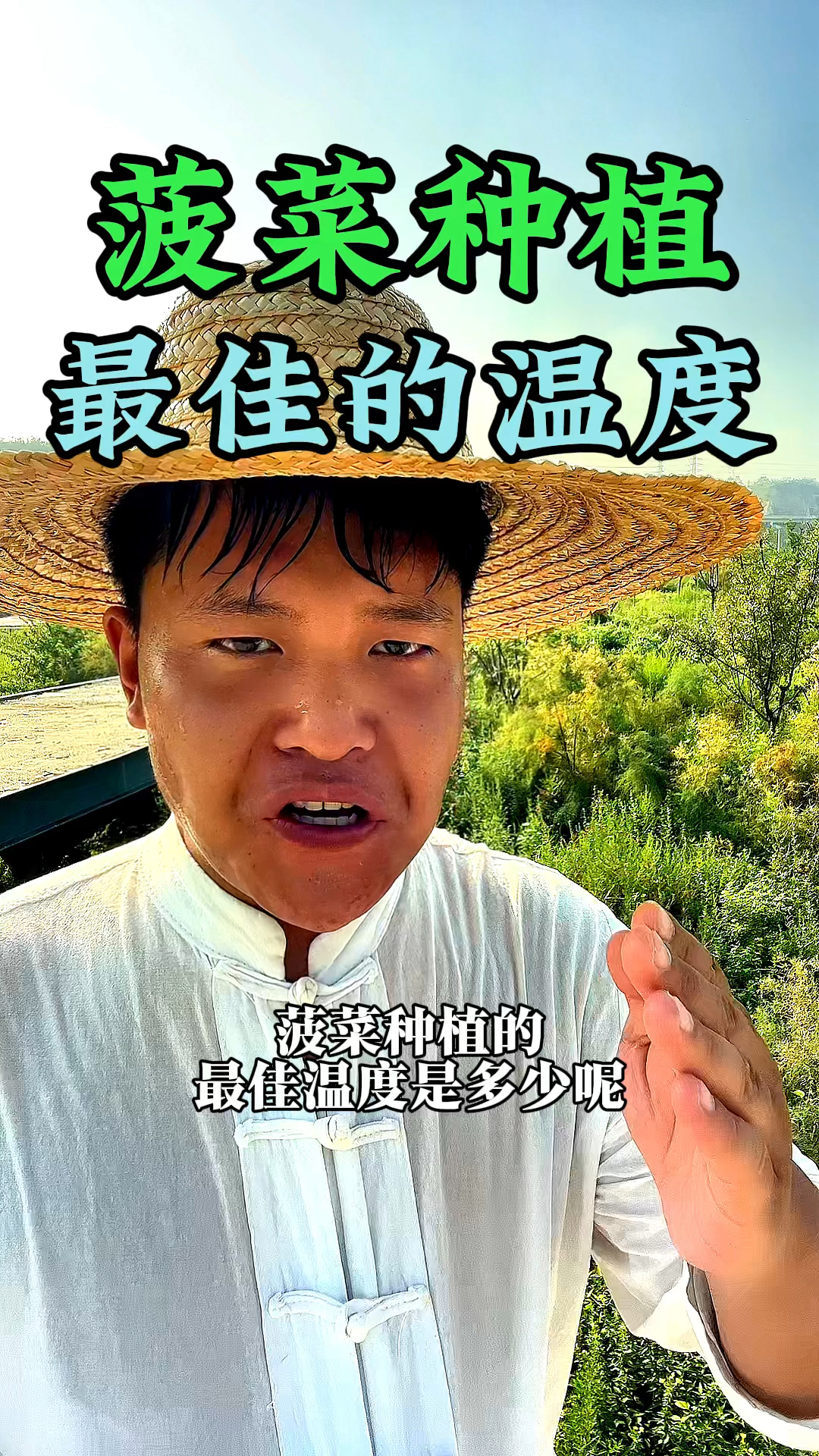 菠菜种植的最佳温度是多少呢,什么时候种植才好