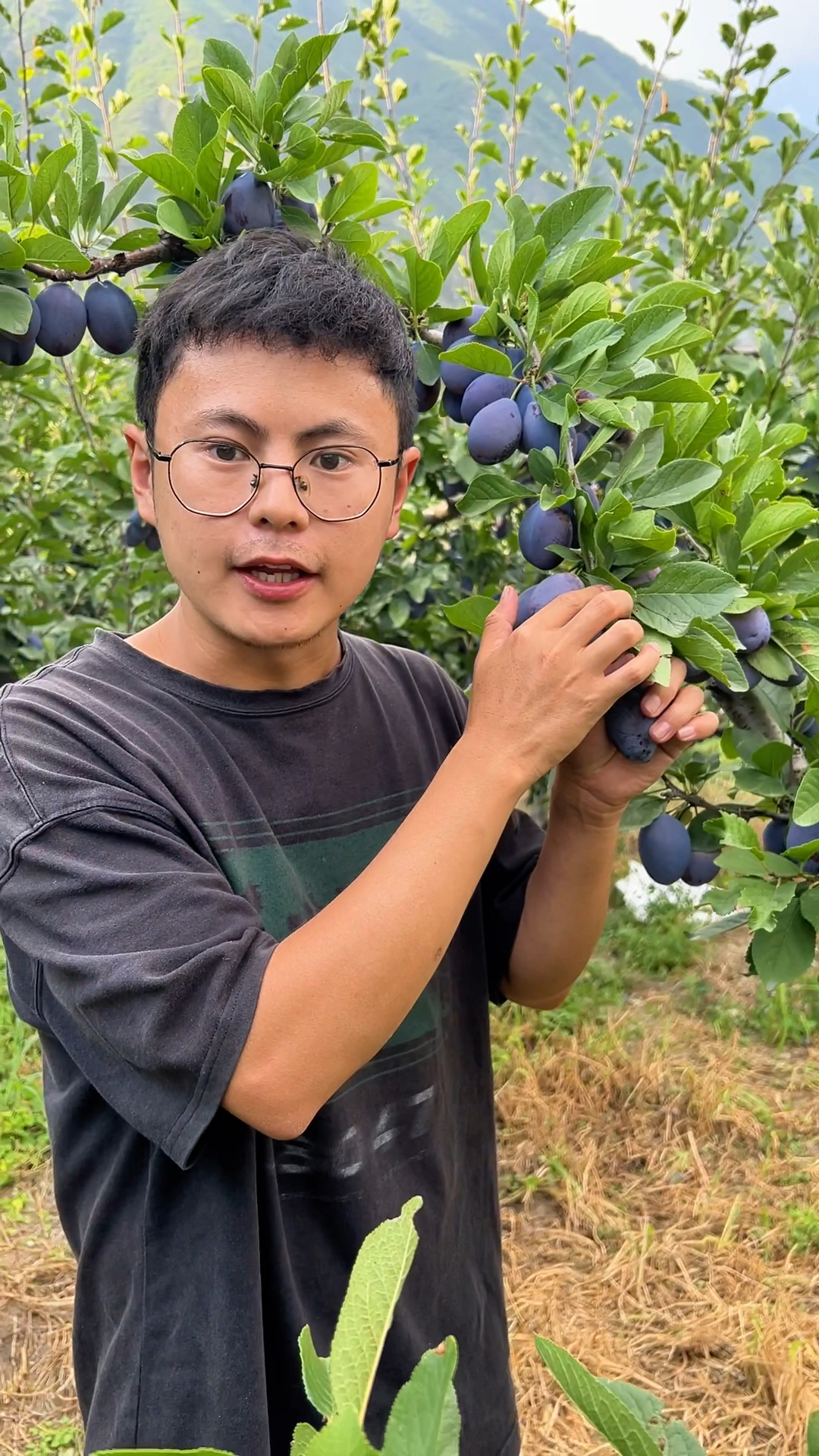 99%的人没吃过这种蓝色水果,能叫上名字的更没几个!你吃过吗?