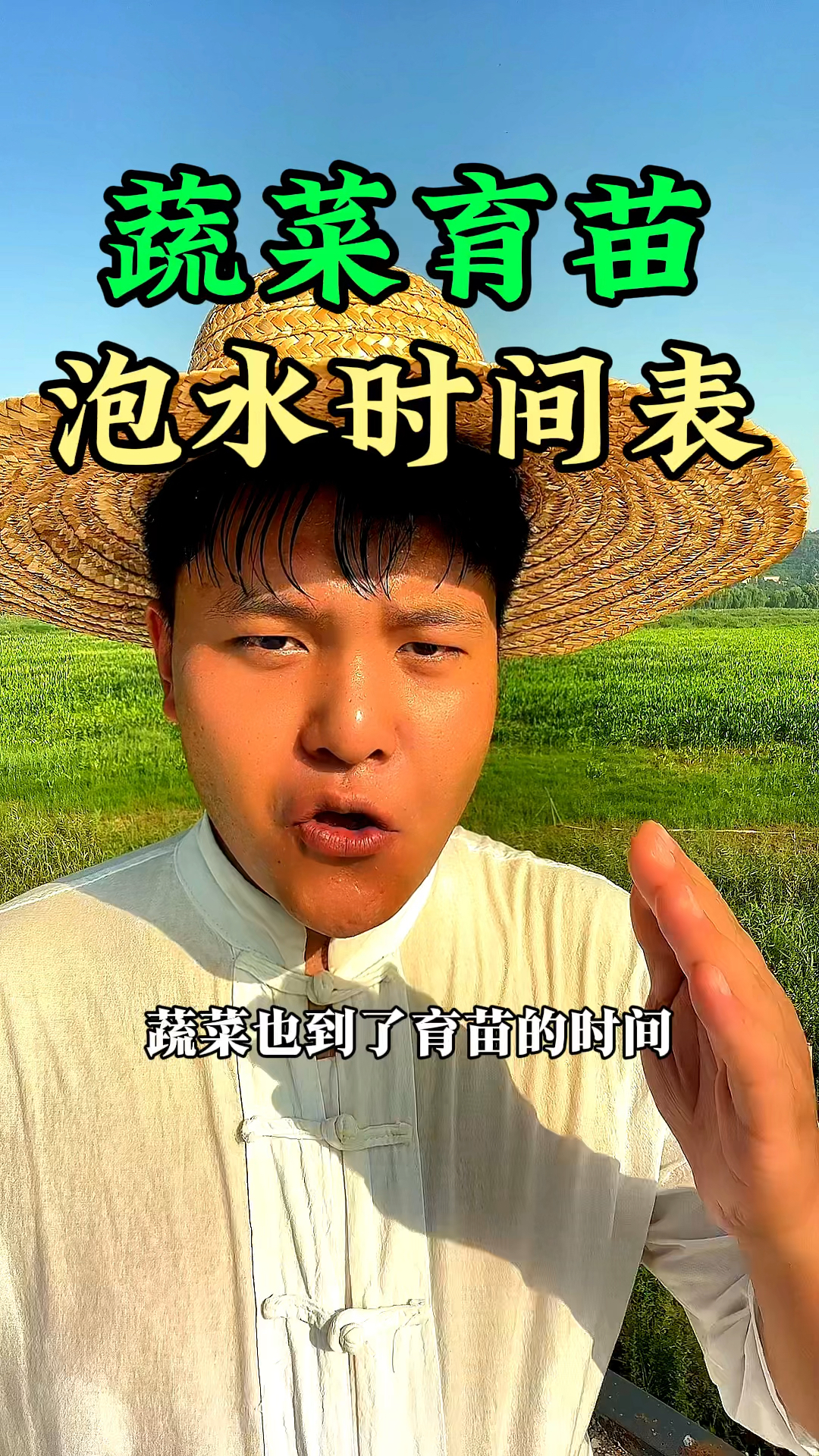 蔬菜也到了育苗时间,常见的蔬菜种子泡水时间表
