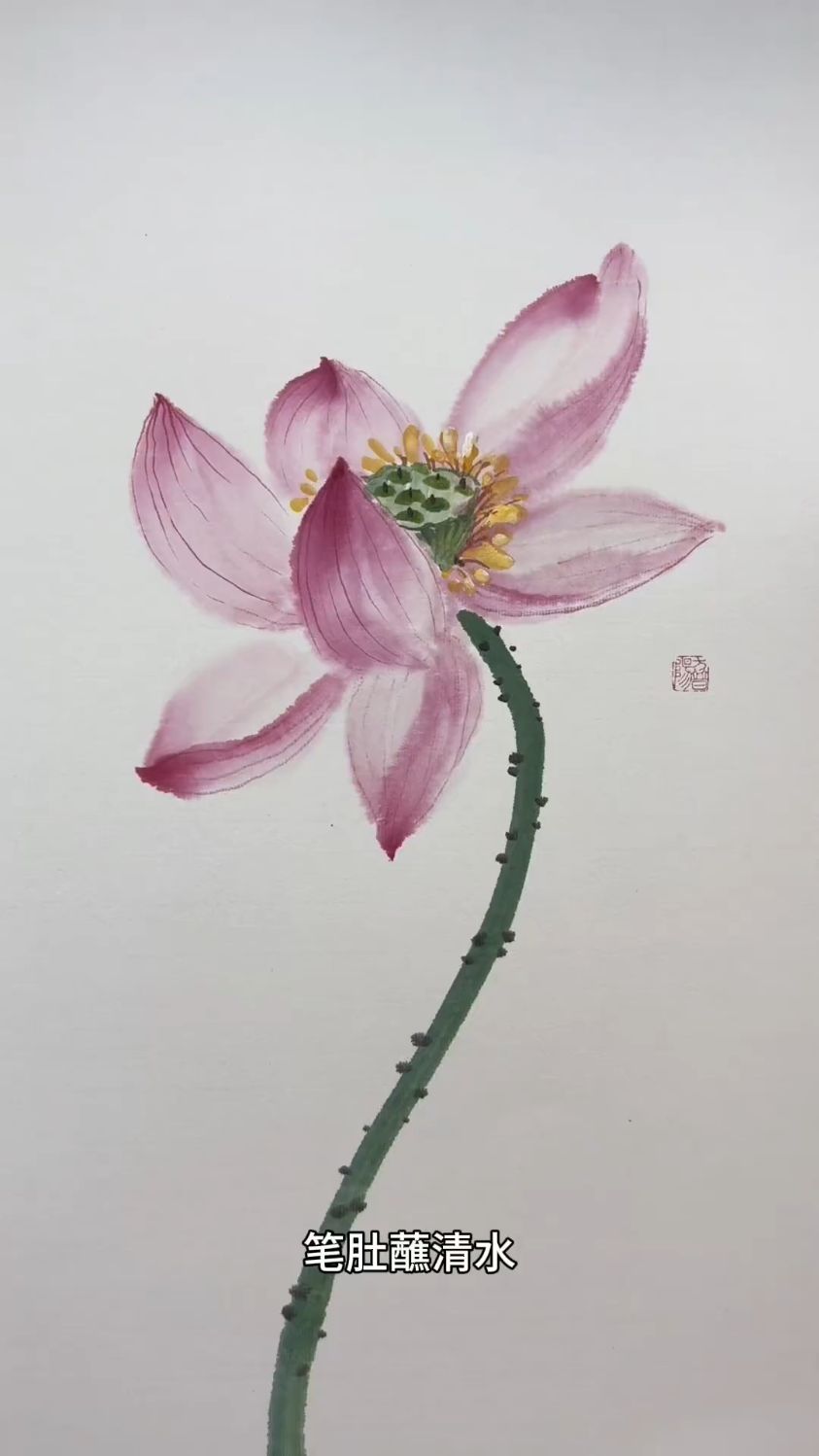 零基础学国画,荷花的画法