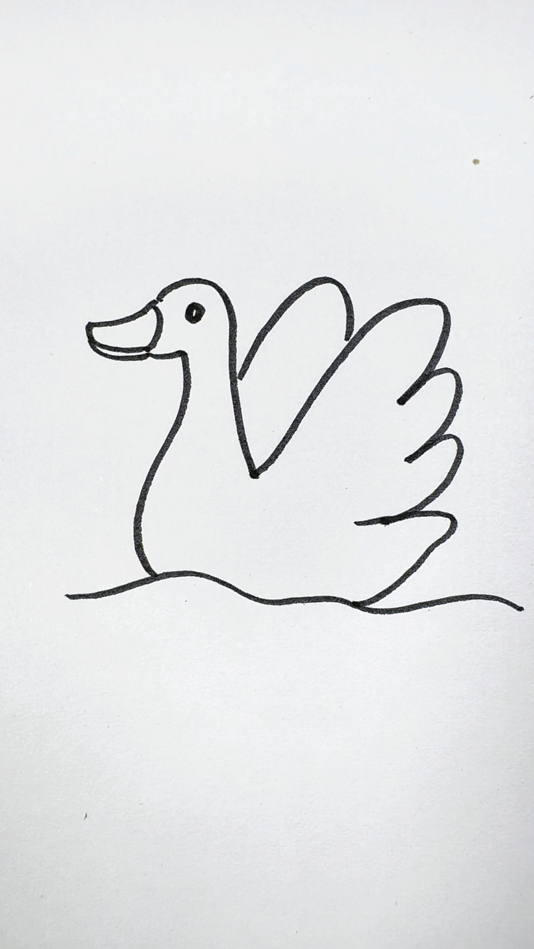 一起画一个大白鹅吧