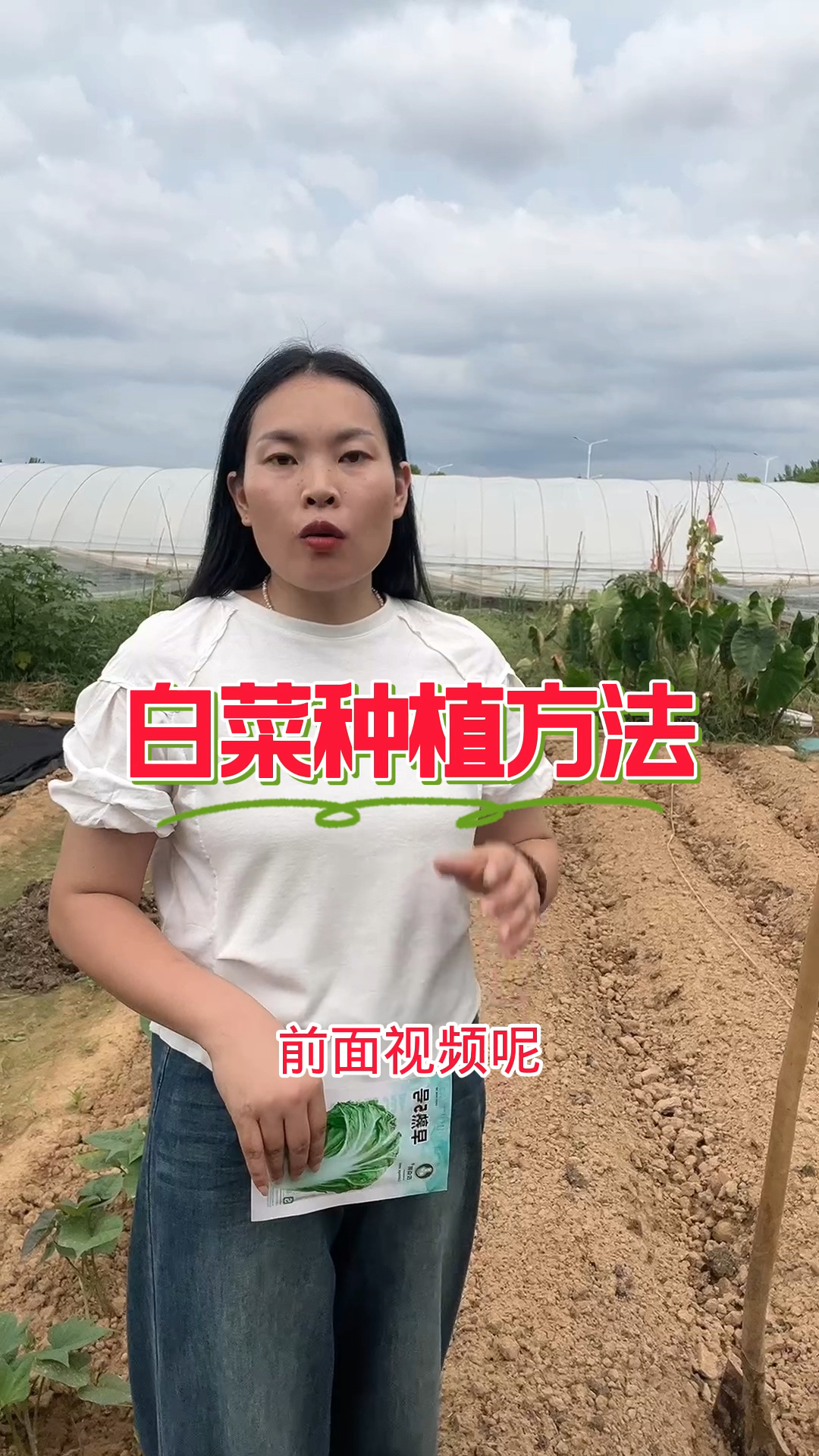 白菜种植方法!!