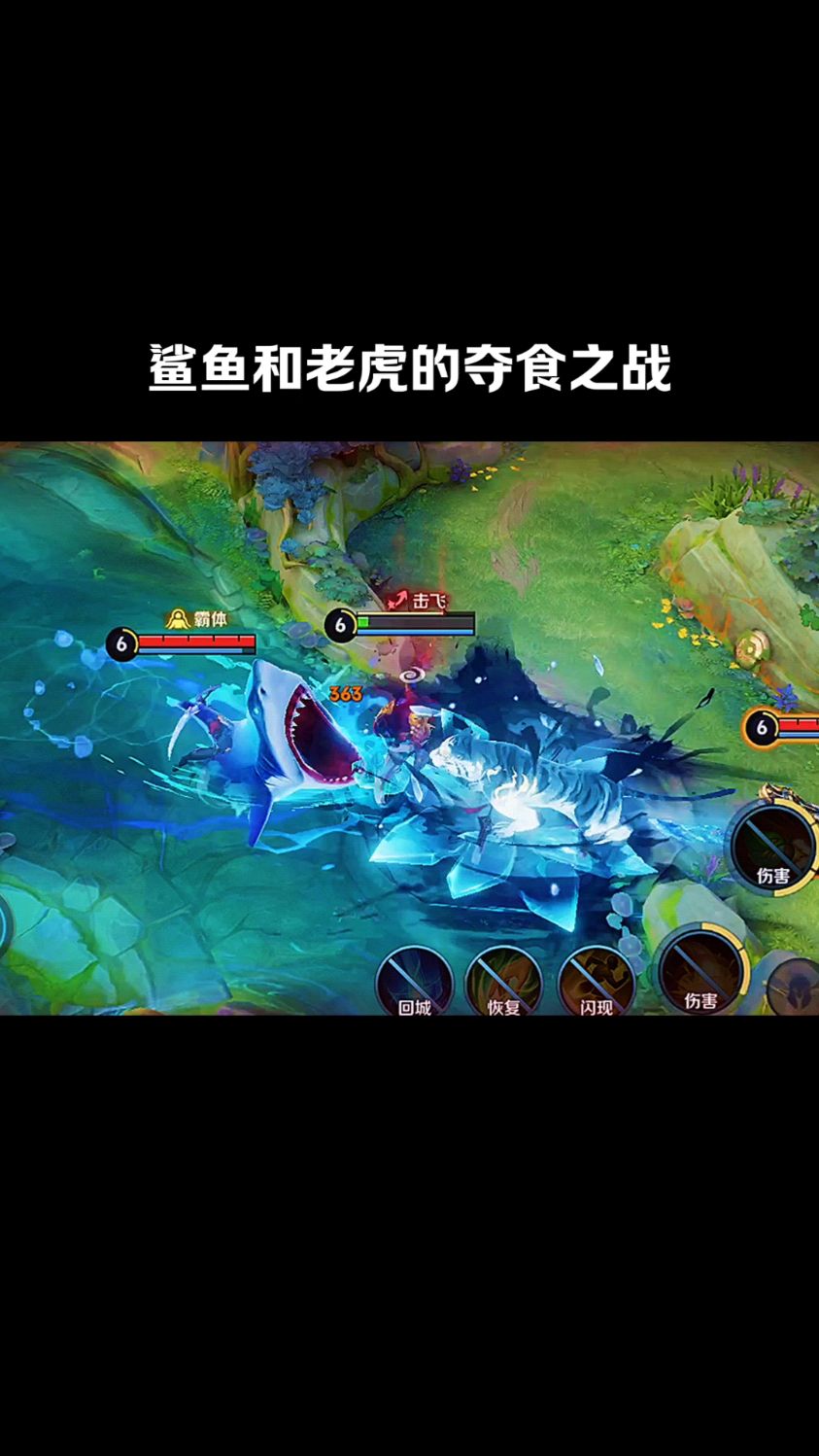 鲨鱼和老虎的夺食之战