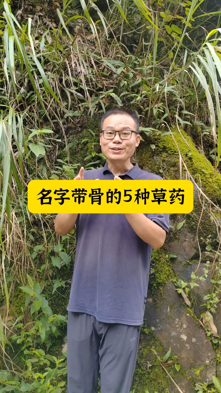 盘点五种名字有骨的草