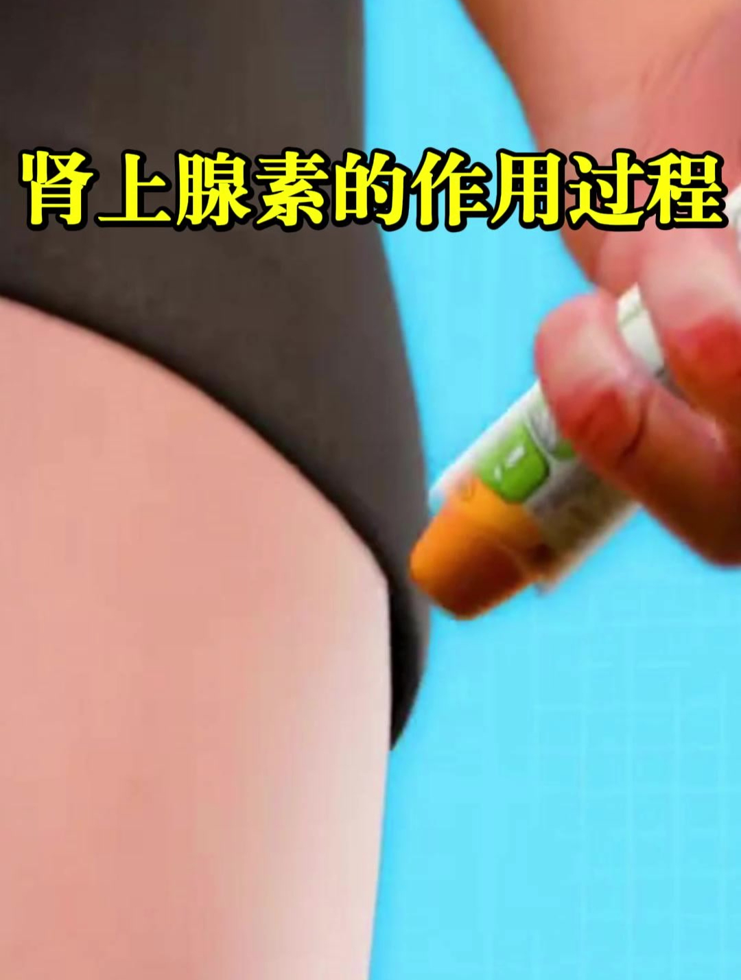 肾上腺素的作用过程