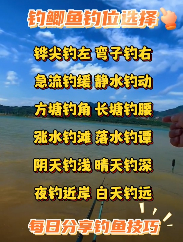 钓鲫鱼钓位如何选择?新手钓友必学知识!