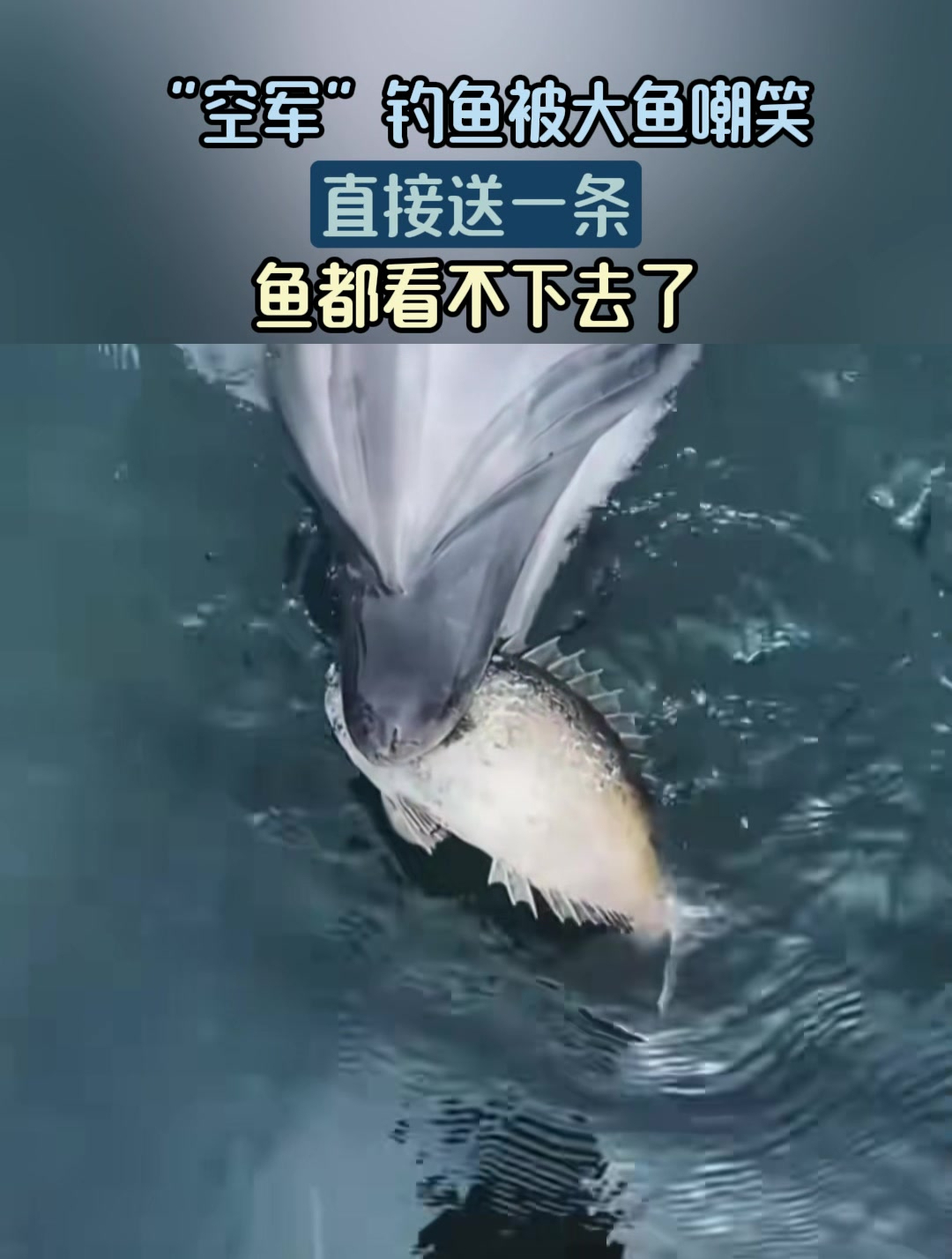 “空军”钓鱼被大鱼嘲笑,直接送一条?鱼都看不下去了!