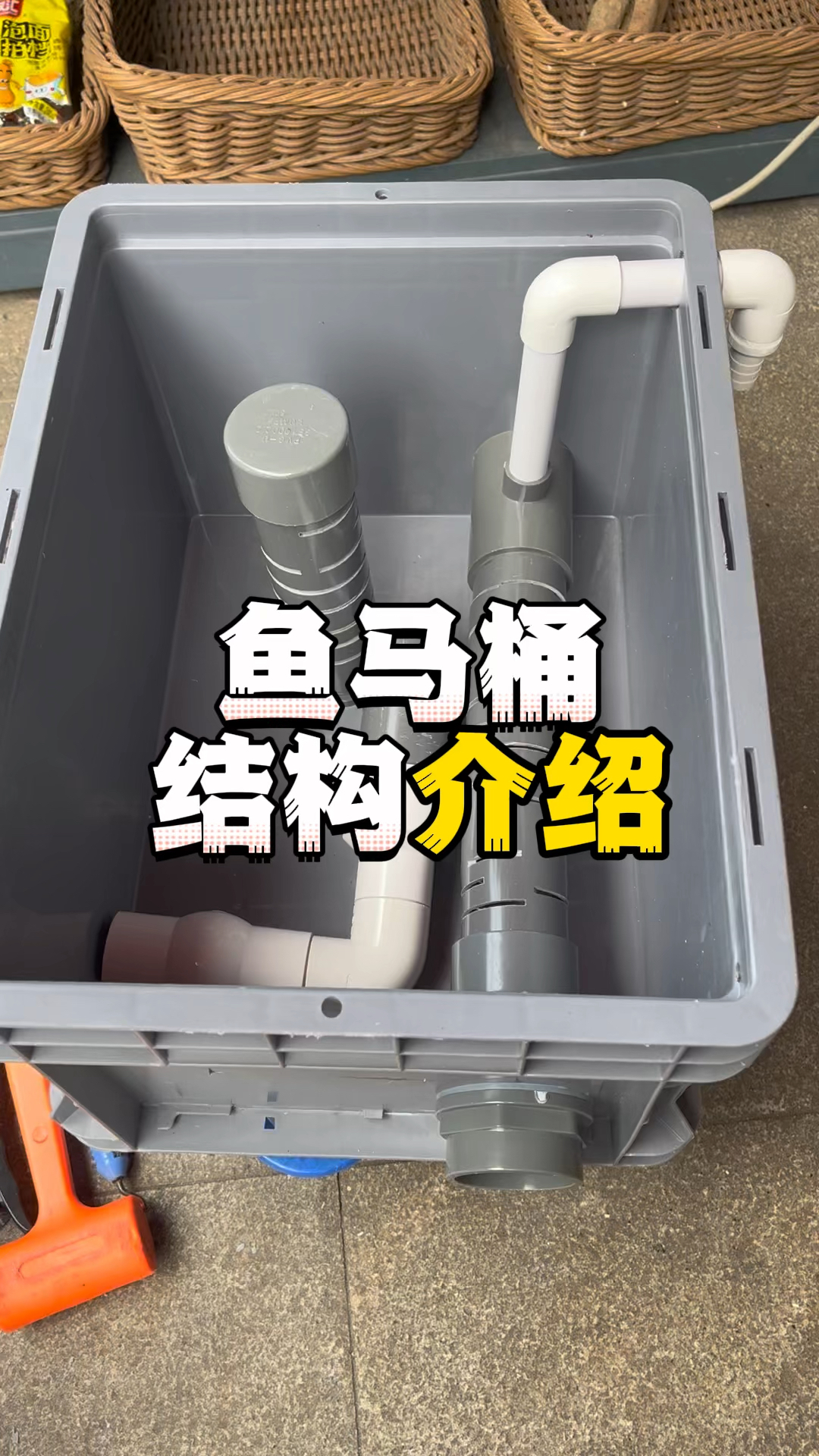 鱼马桶内部结构介绍#鱼菜共生 #智慧农业 #养鱼先养水 #鱼马桶