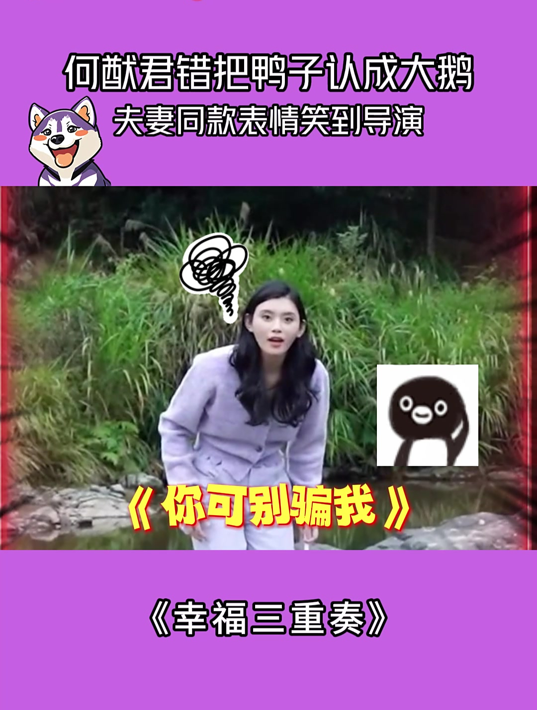 幸福三重奏:何猷君错把鸭子认成大鹅,夫妻同款表情笑到导演!