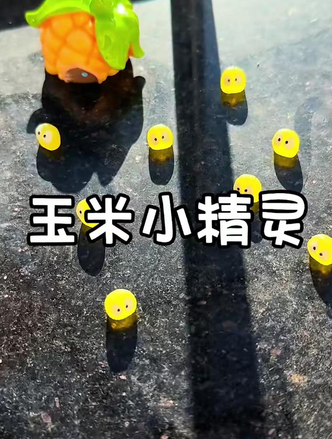 这些玉米小精灵,被太阳晒成了爆米花