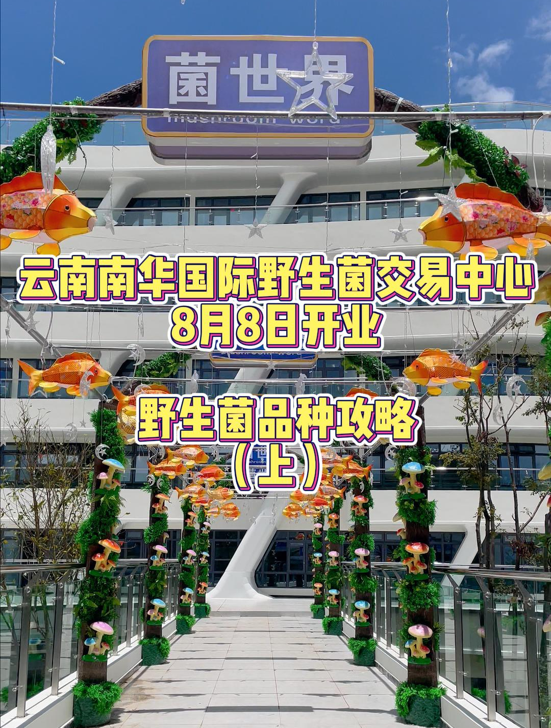 最全野生菌品种攻略来啦(上)