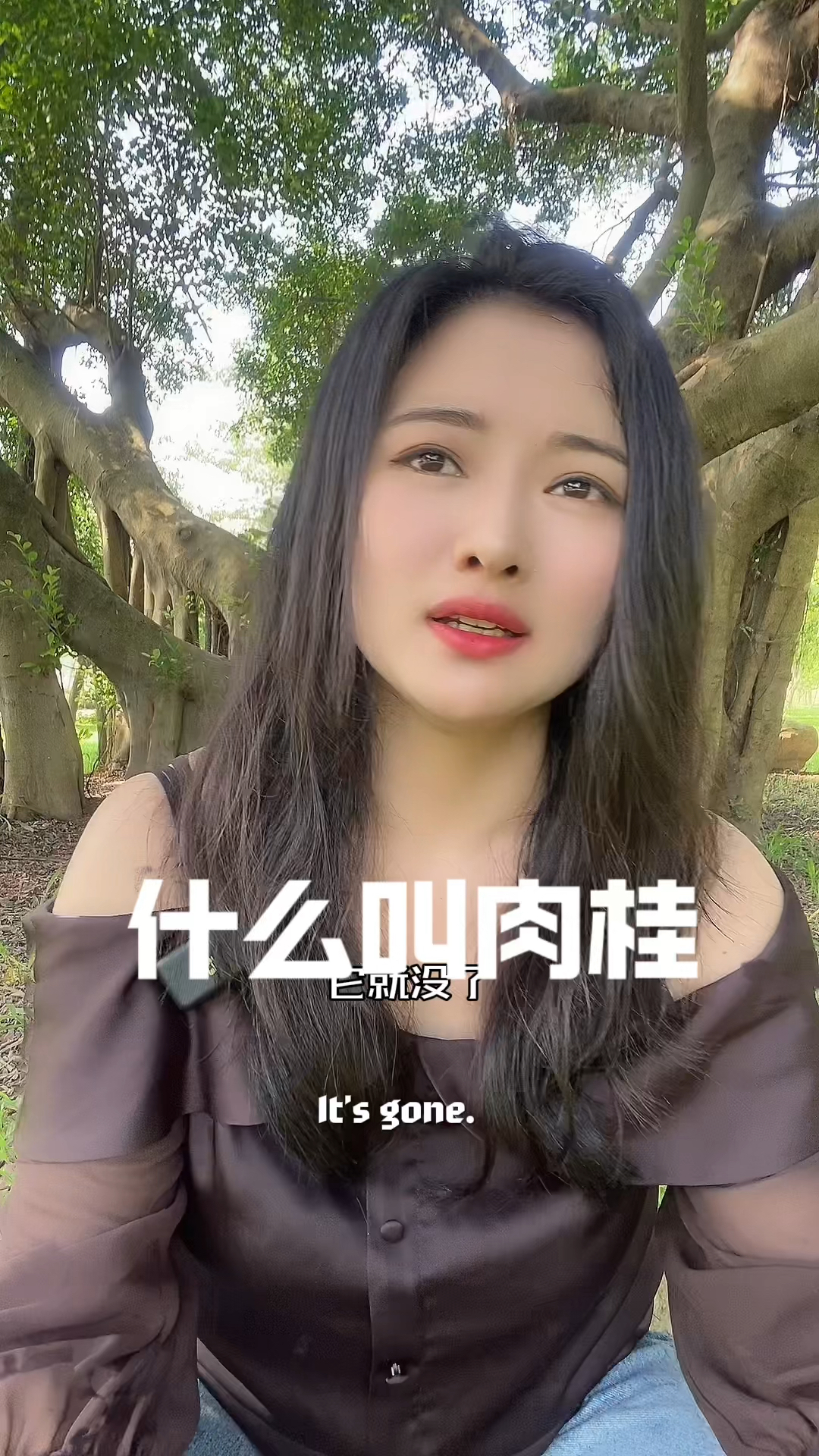 什么叫肉桂你认为肉桂斤价多少合适