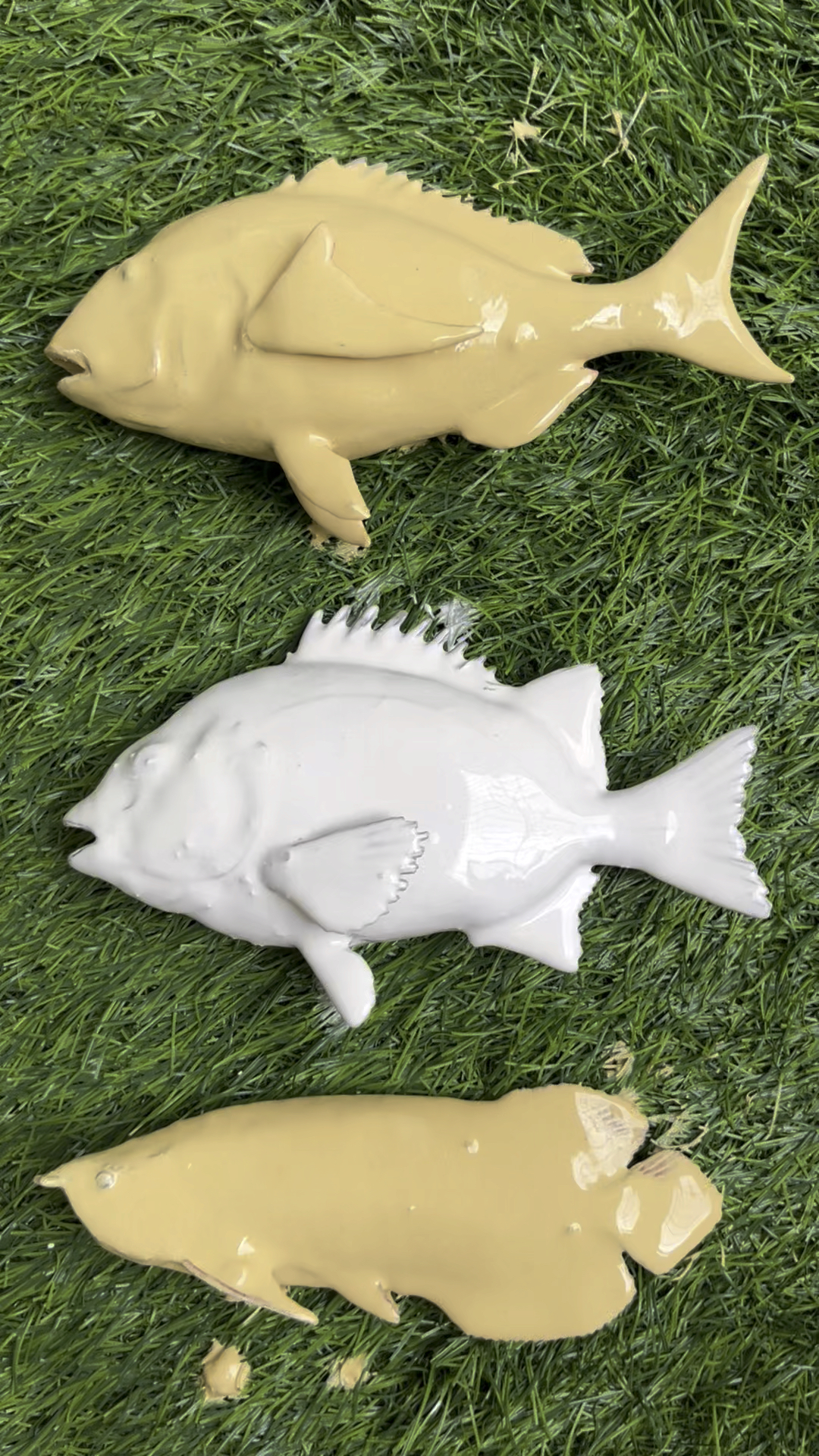 清洗三条可爱的小金鱼