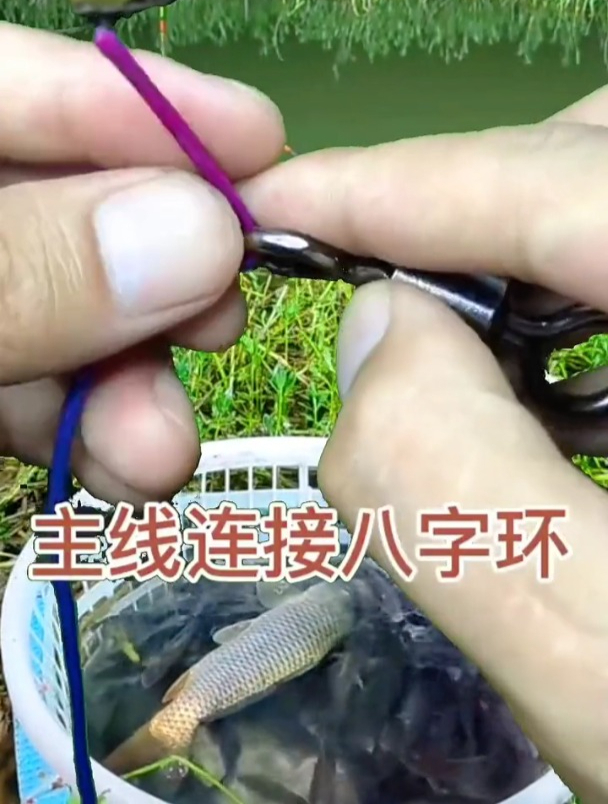 钓鱼绑钩技巧大全,新手入门必学!