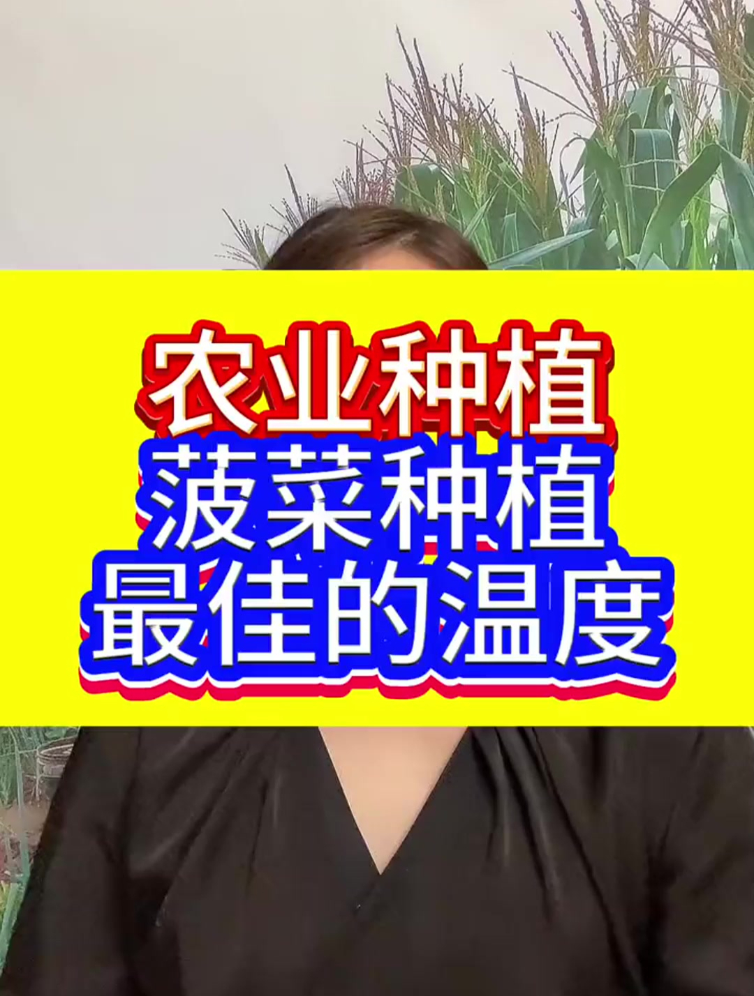 菠菜种植的最佳温度是多少呢,什么时候种植才好