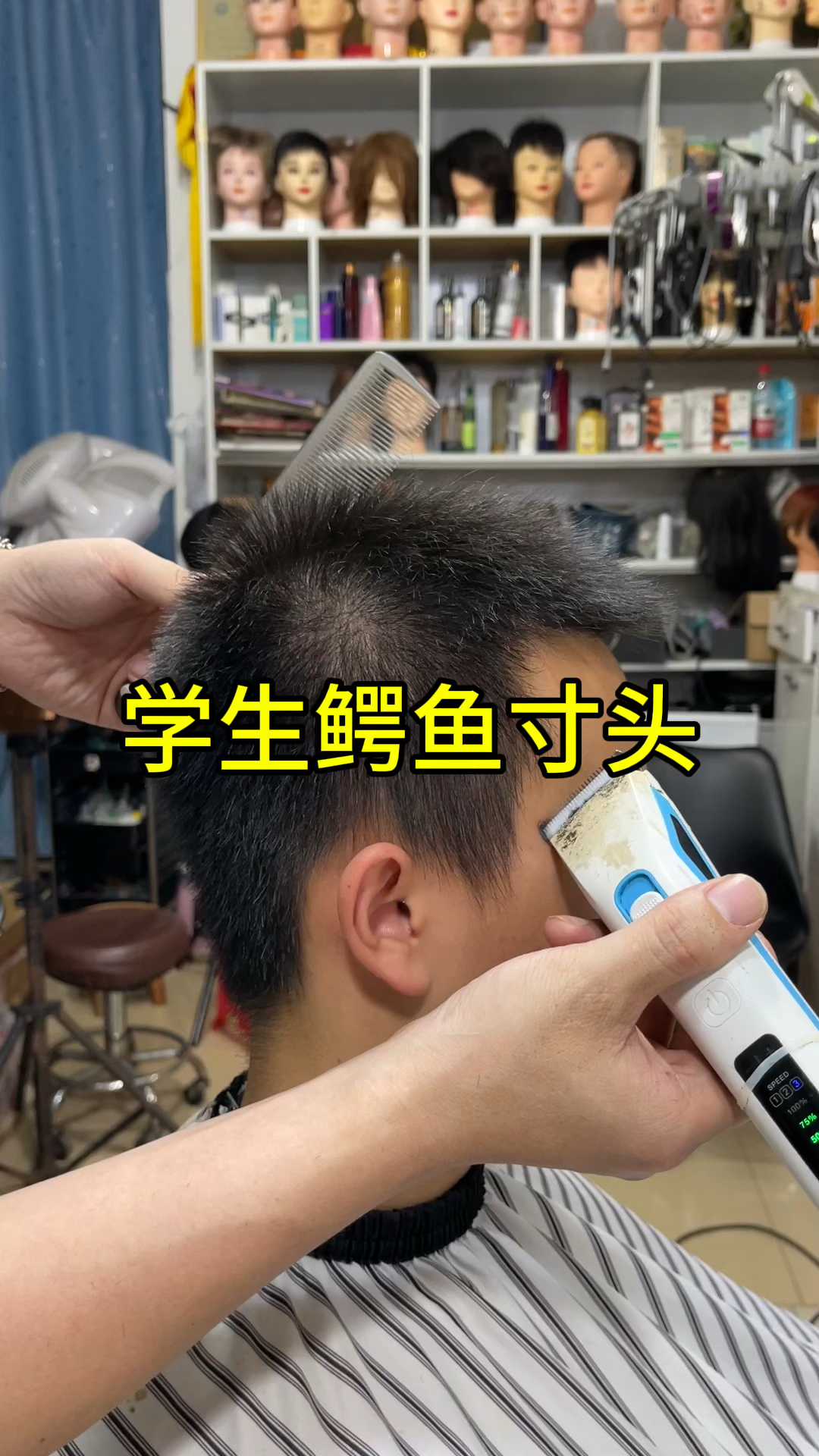 学生鳄鱼寸头修剪