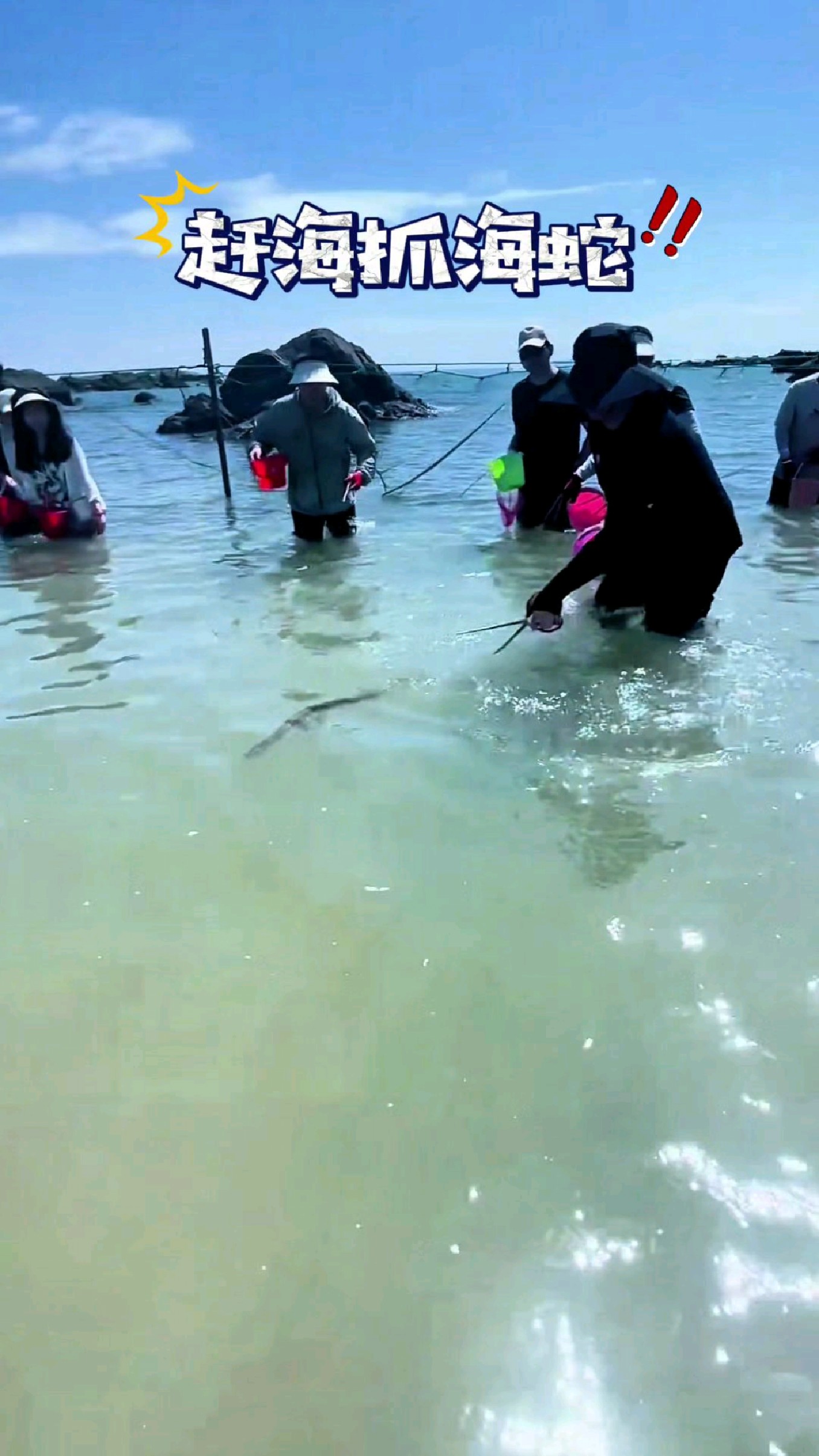 大家赶海碰到海蛇都异常兴奋#我的钓鱼日记 #钓鱼也能这么快乐