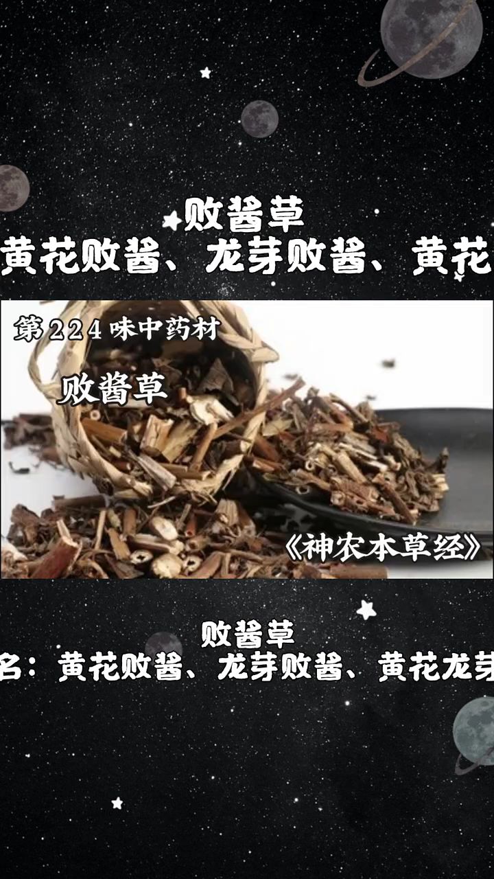 今天介绍第两百二十四味中药材,败酱草