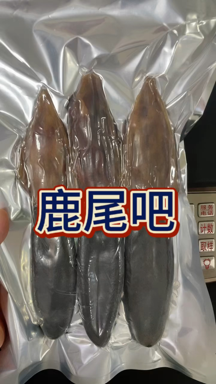 鹿尾吧!煲汤,炖补泡8加一嘎嘎好