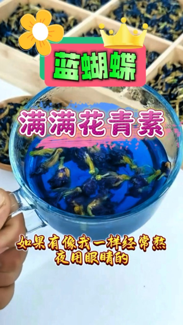 经常熬夜用眼过度,蓝蝴蝶茶泡起来喝。