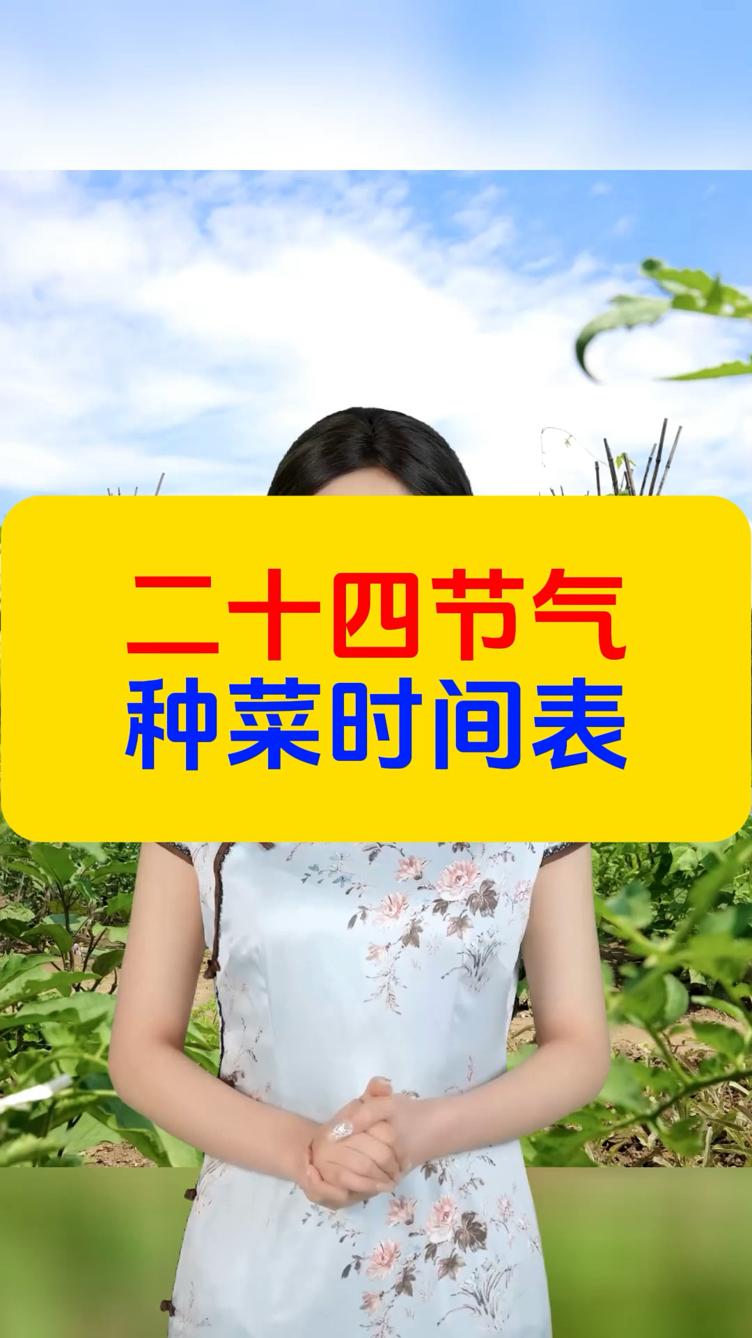 二十四节气种菜时间表