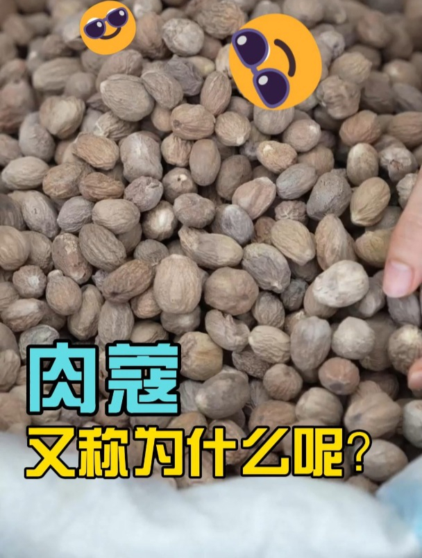 今天让我们来看一下肉蔻是怎么使用的吧!