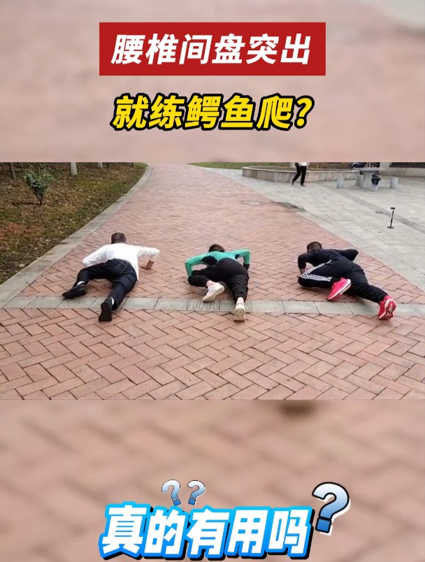 鳄鱼爬到底能不能治疗腰椎间盘突出?