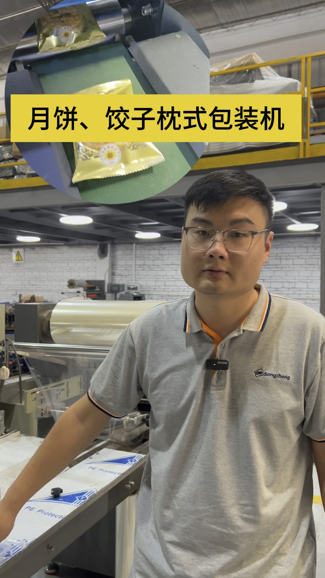 月饼、饺子枕式包装机