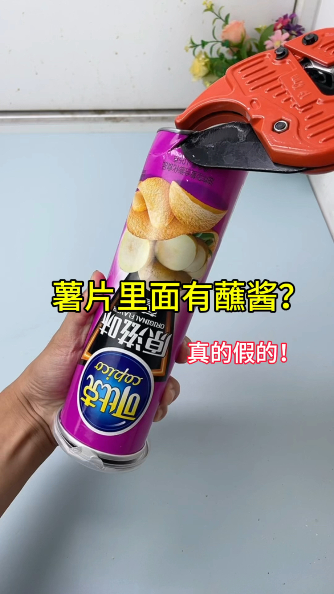 据说薯片里面藏有蘸酱!