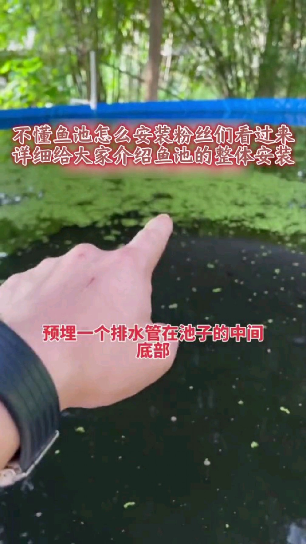 #镀锌板帆布鱼池 #水产养殖 #三农详细给大家介绍鱼池的整体安装