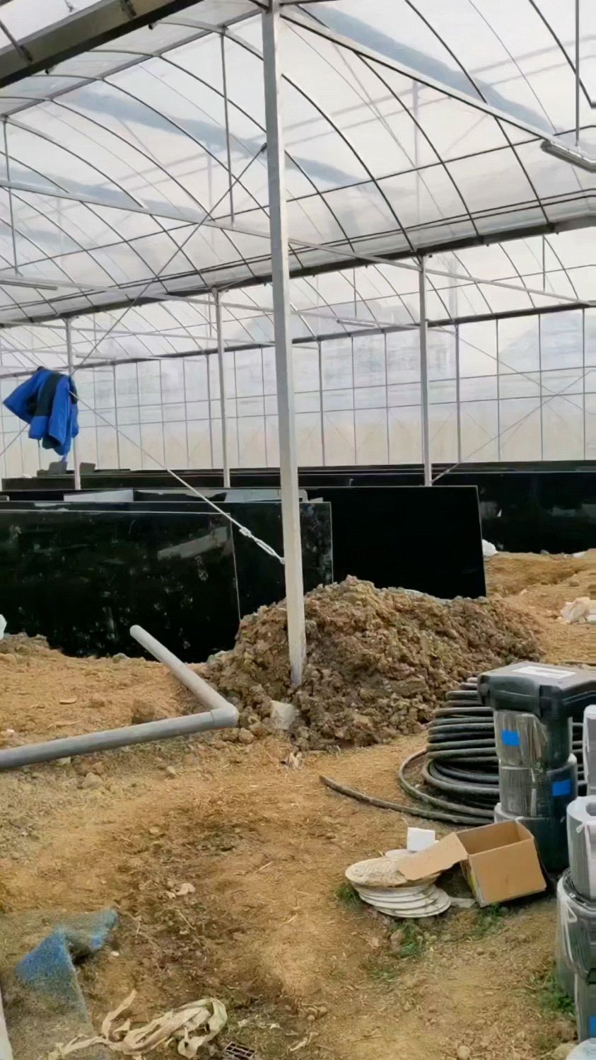 水产养殖连栋大棚