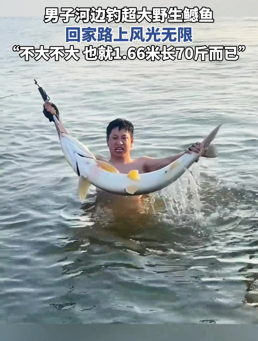 男子河边钓超大野生鳡鱼,路上风光无限,“也就1.66米长70斤”