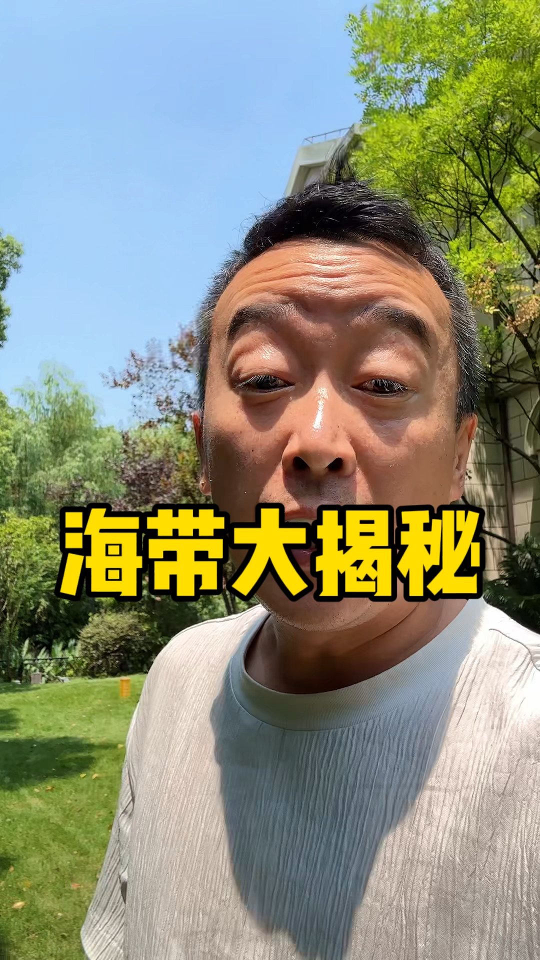 海带大揭秘,海带怎么选