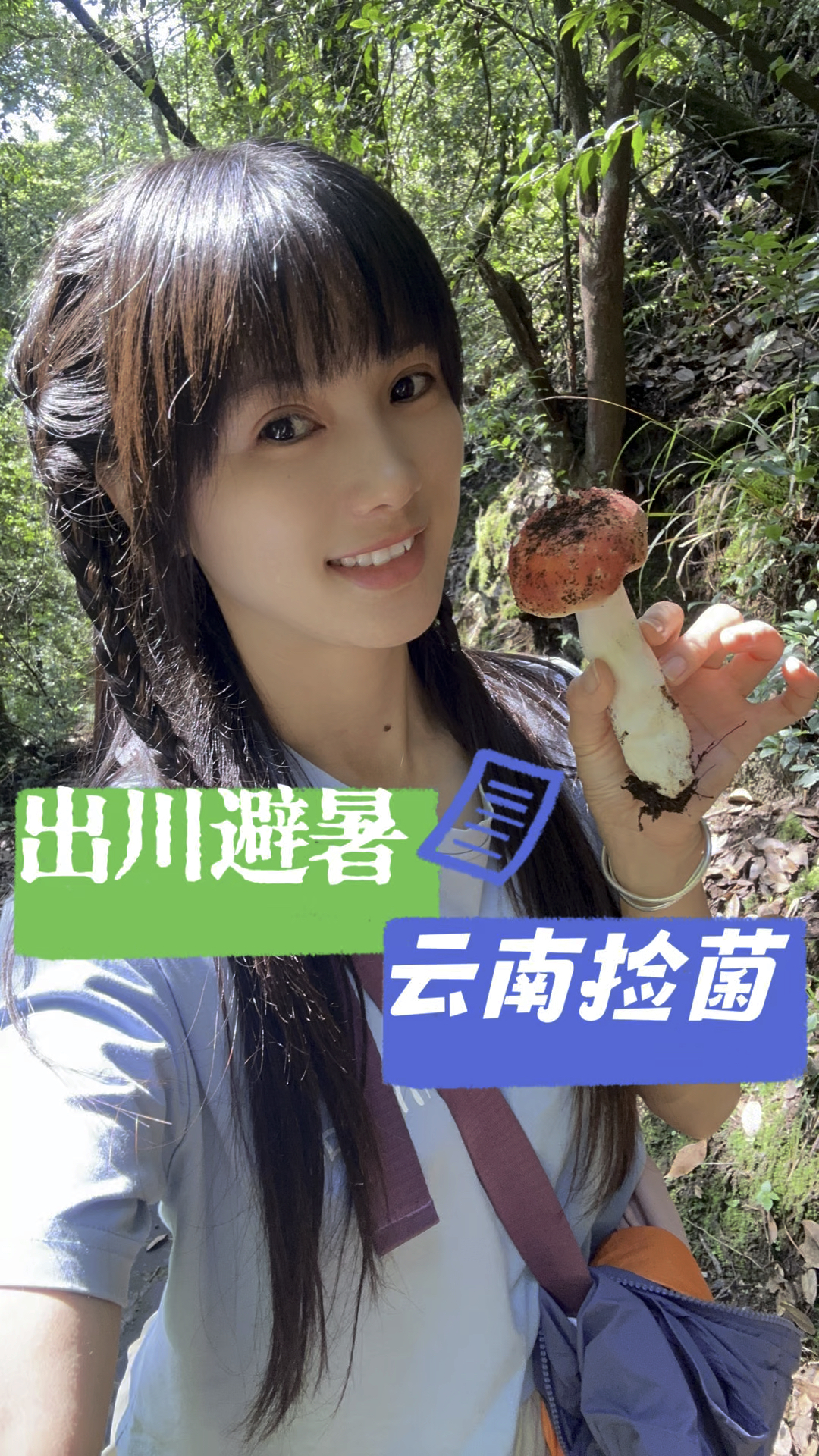 听说在云南吃菌不愁,但认菌子还是一项技能呀。品种太多了