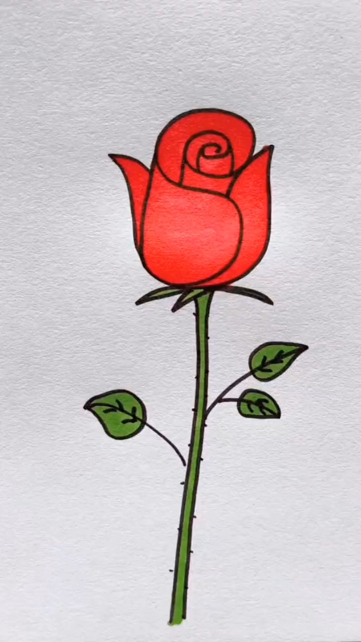 玫瑰花教程来了啊