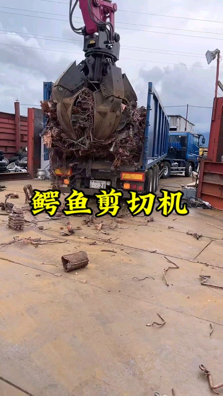 鳄鱼剪切机#金属设备厂家