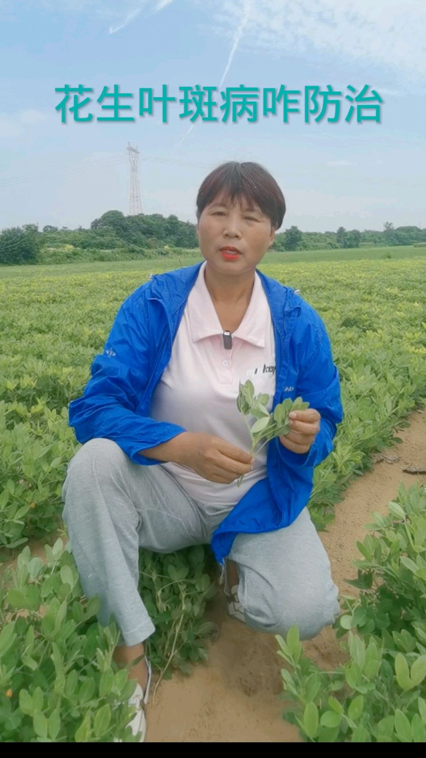 花生叶斑病咋防治