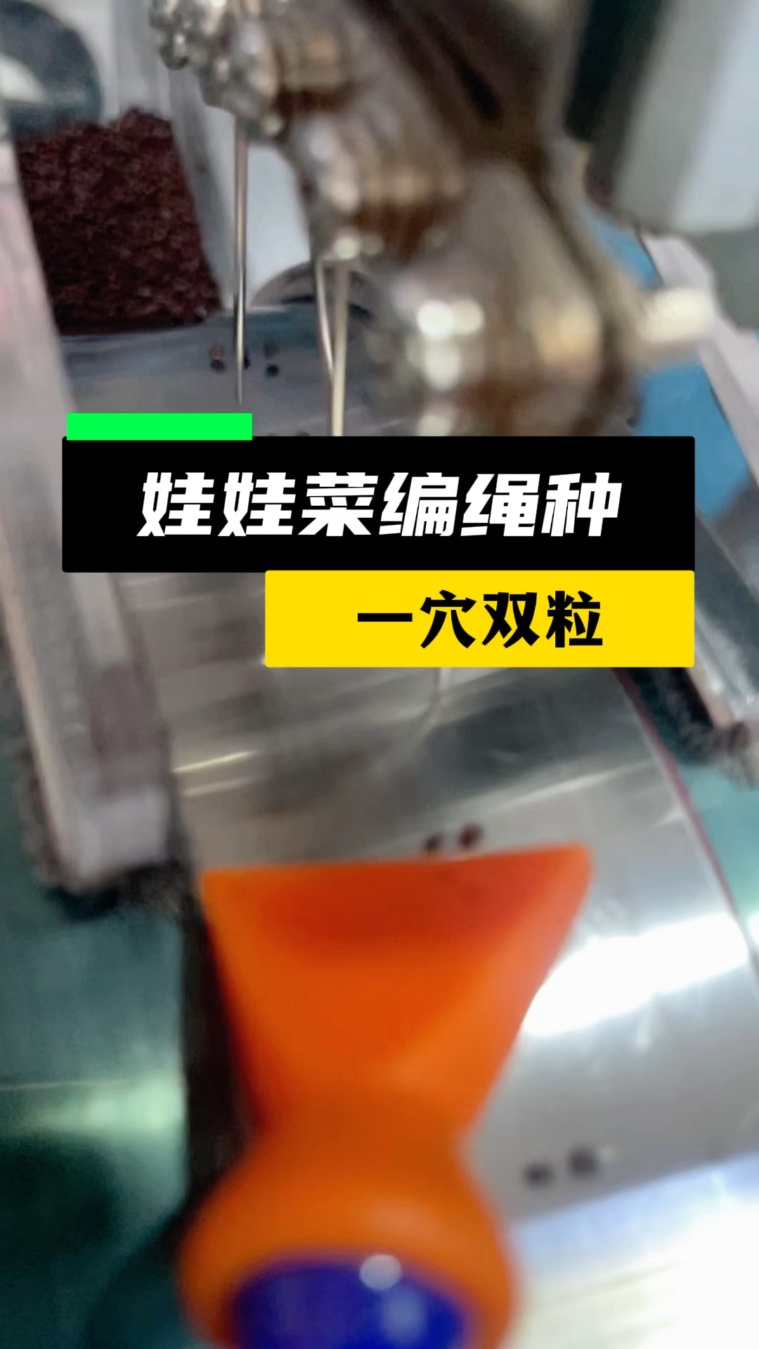 娃娃菜,编绳种,一穴双粒,省种子,又保苗儿!全自动数控种子编织机!