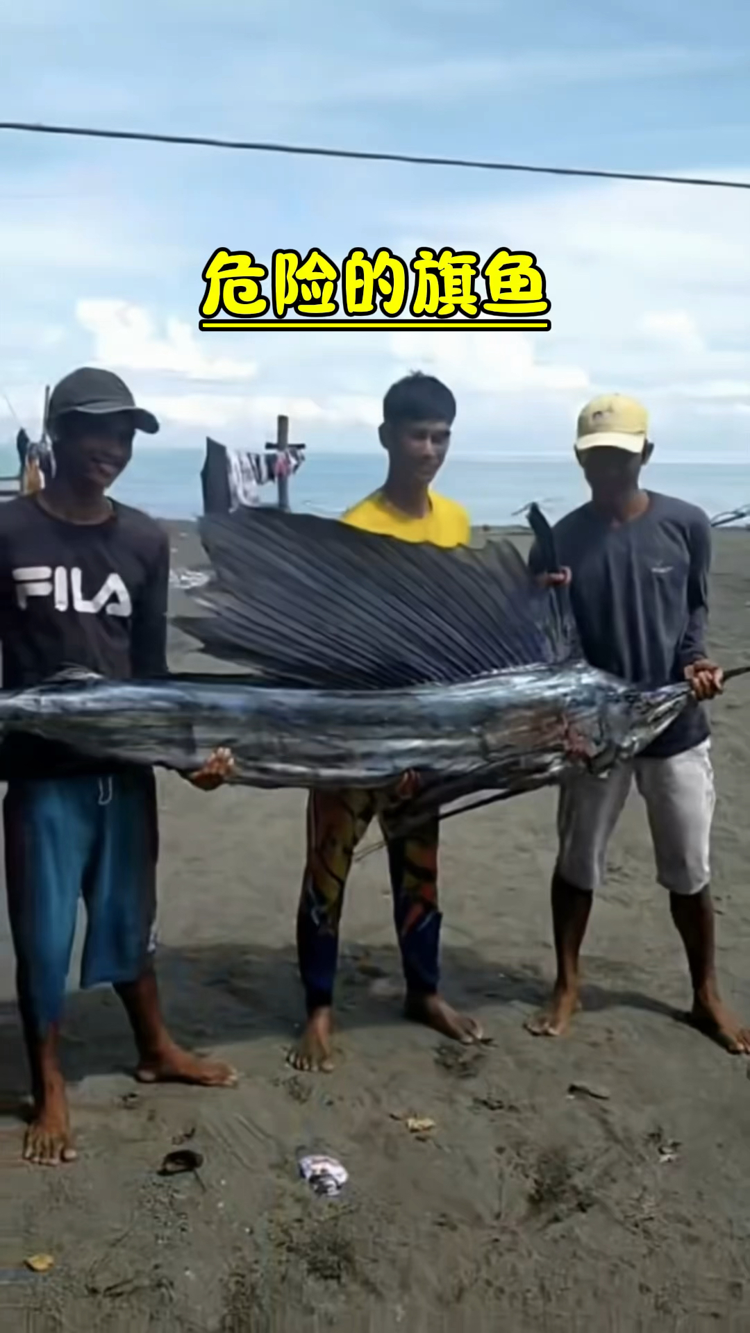 世界上游泳最快的鱼
