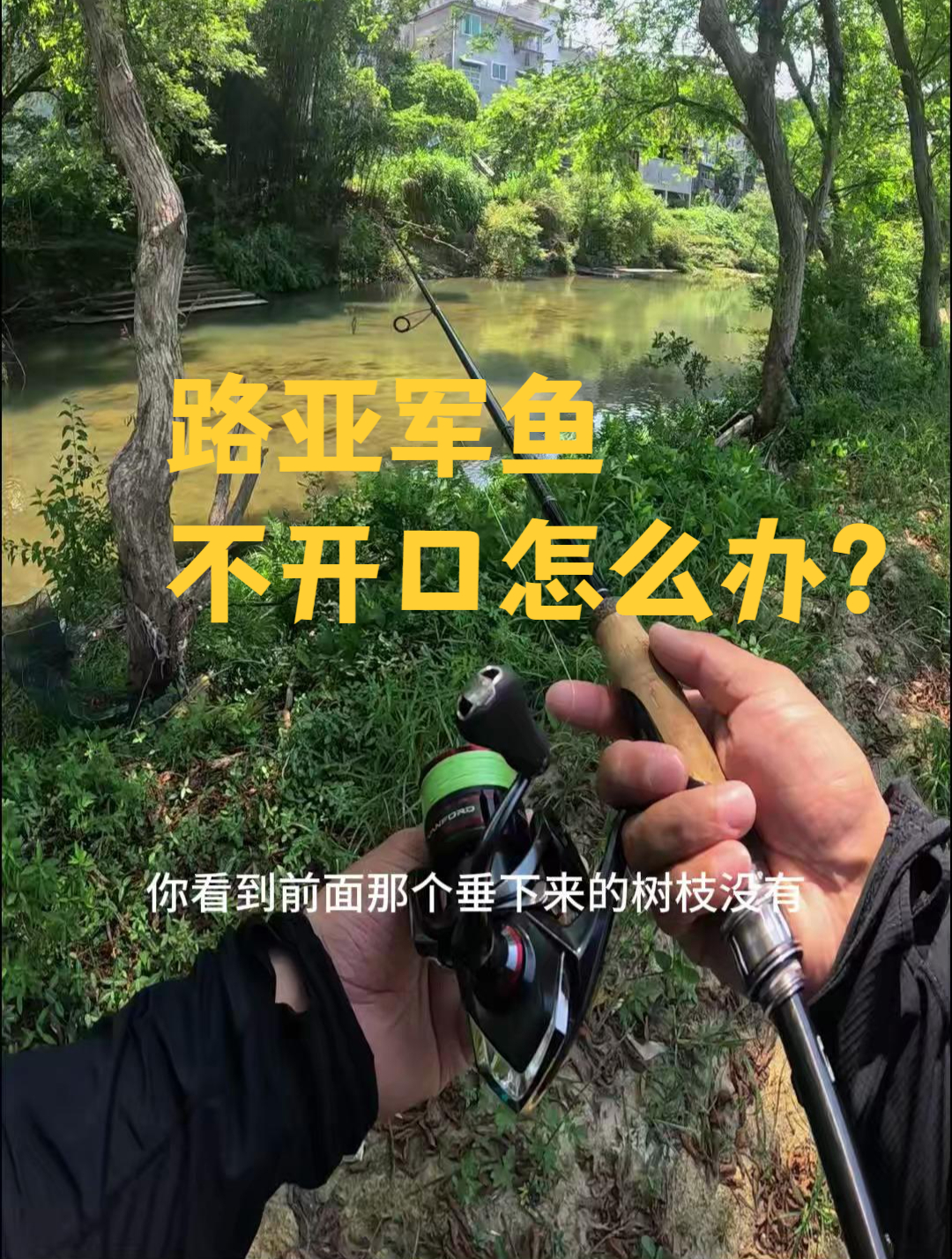 军鱼不开口怎么办?军鱼不咬路亚饵实战分享经验