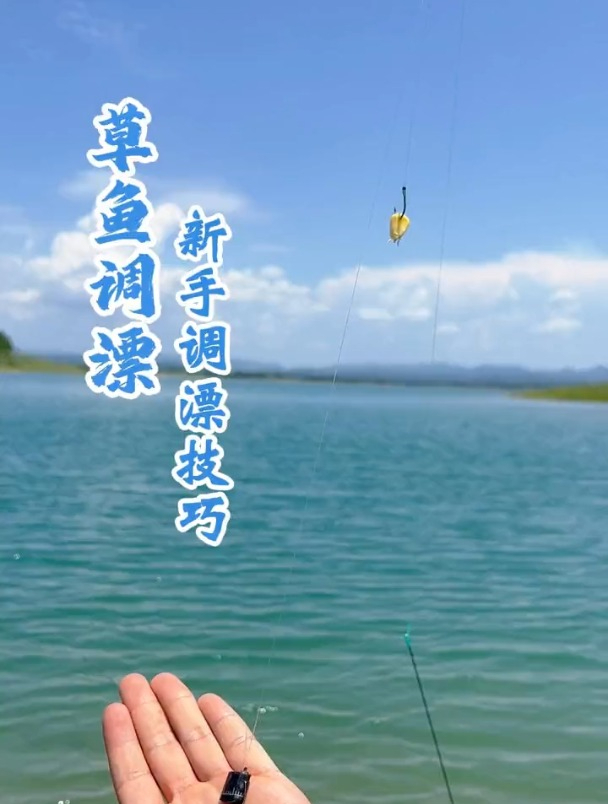 用玉米钓草鱼的正确调漂方法,邓大师手把手演示!