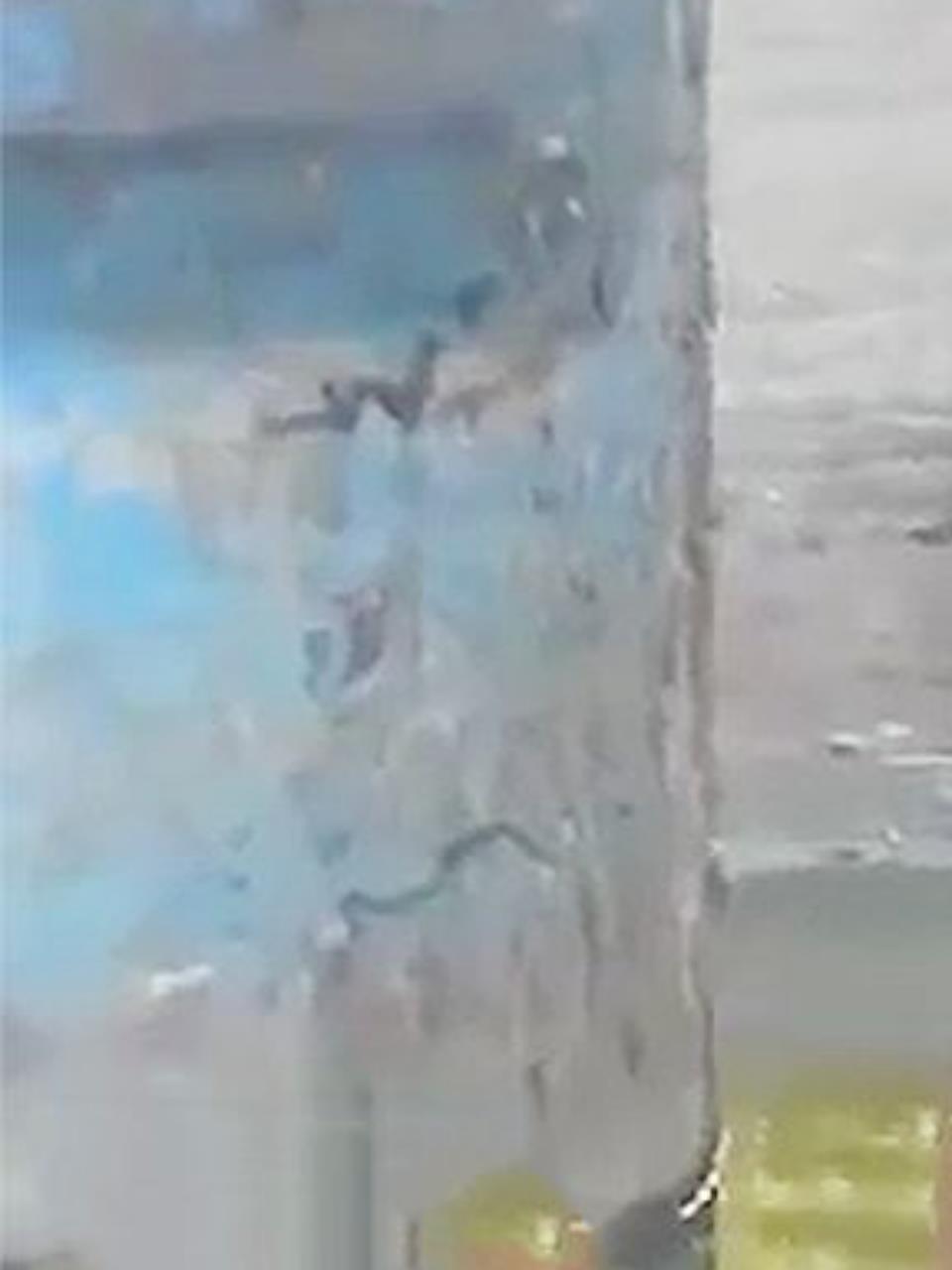 猫咪在水池边钓鱼,突然冒出个鳄鱼:是鱼吗?