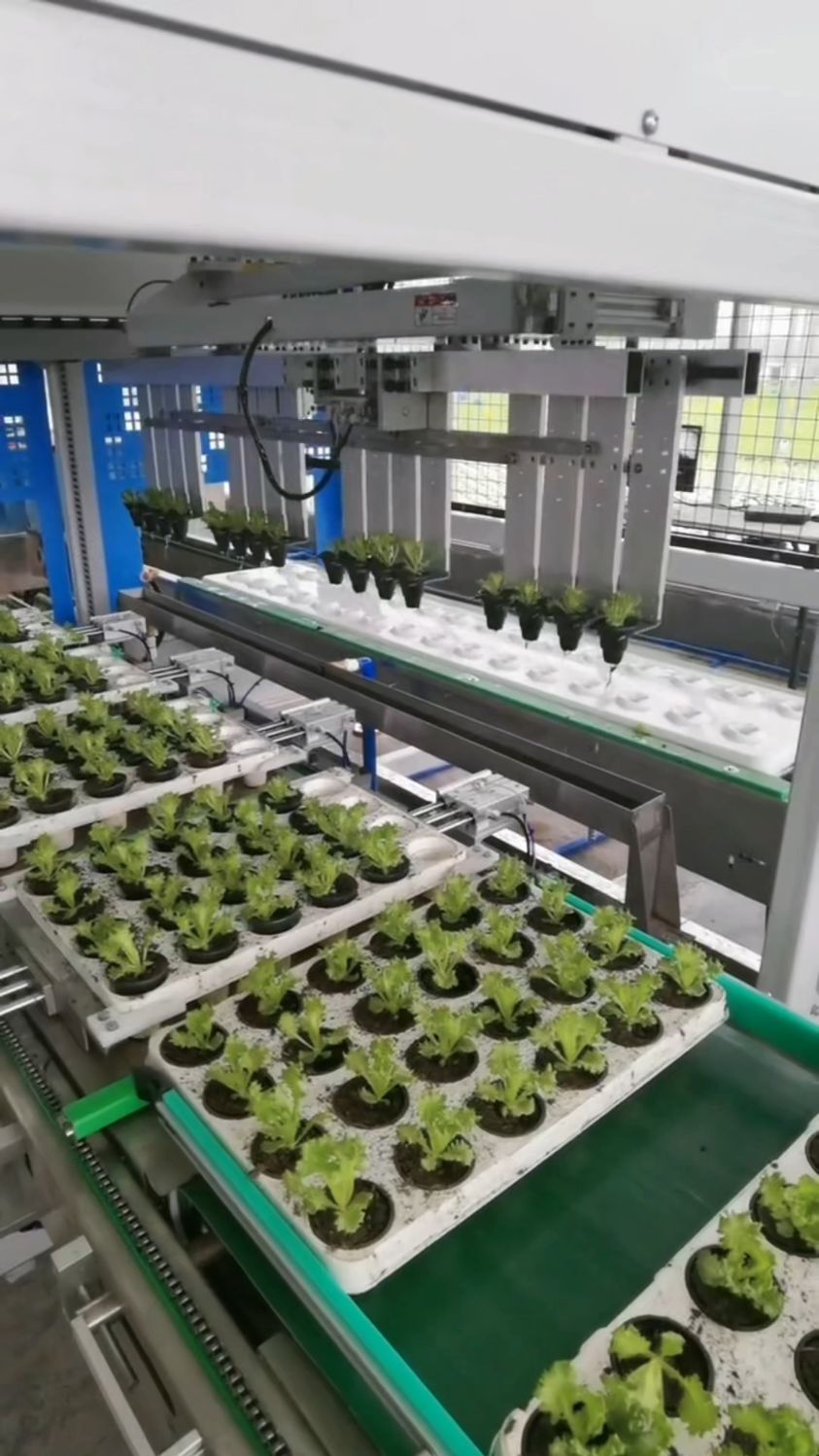 智能温室水培蔬菜农场