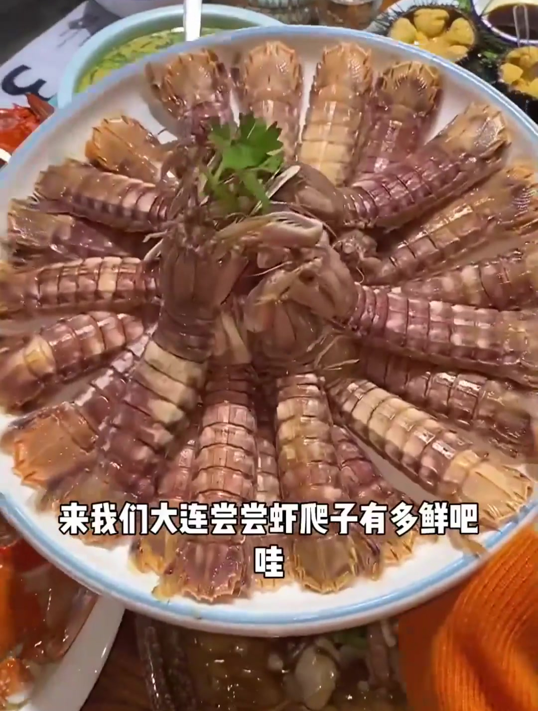 数一数吃了几种海鲜,烤海螺烤鲍鱼烤夏夷贝炖鱼清蒸飞蟹煮虾爬子